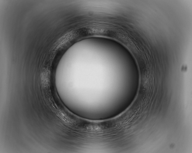 X0000101230735200806271510