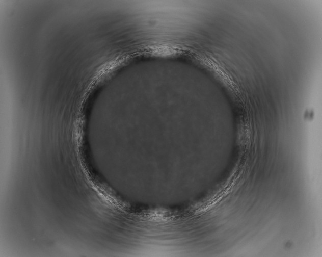 X0000101230736200806271510