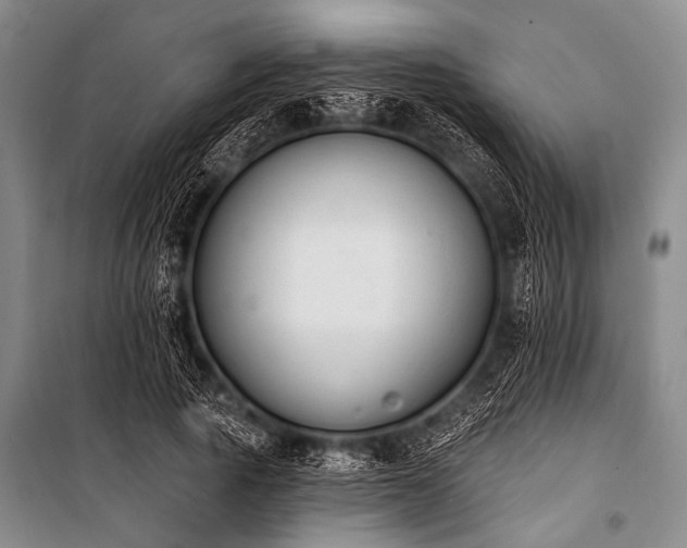 X0000101230737200806271510