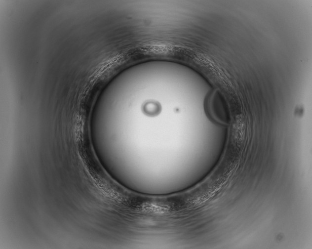 X0000101230739200806271511