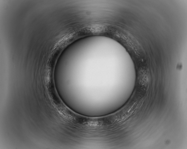 X0000101230740200806271511