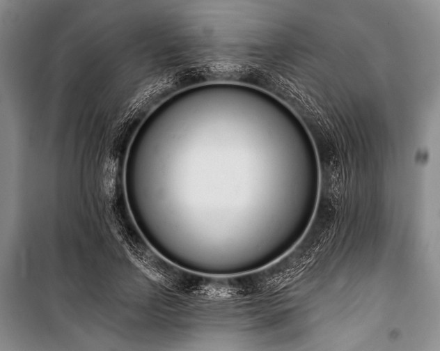 X0000101230742200806271511