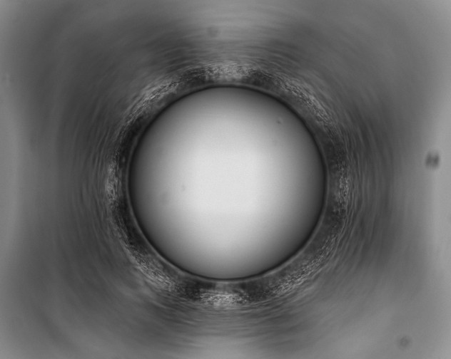 X0000101230743200806271511