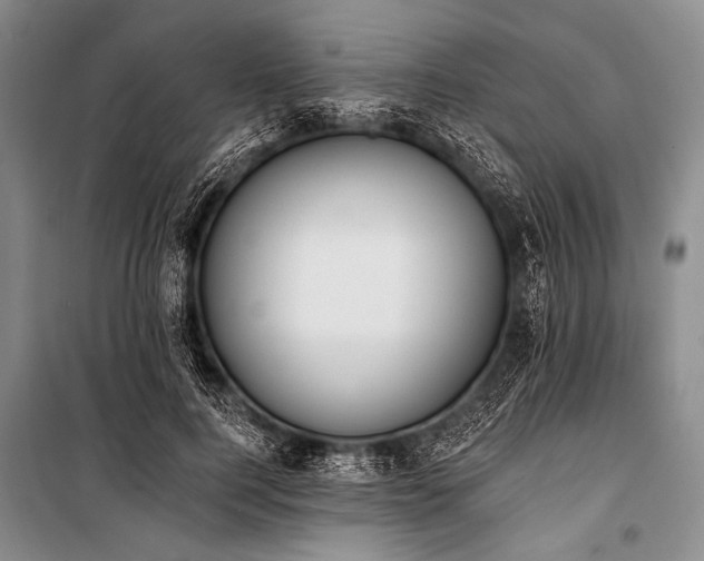 X0000101230744200806271511