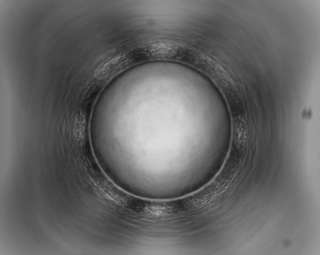X0000101230745200806271511