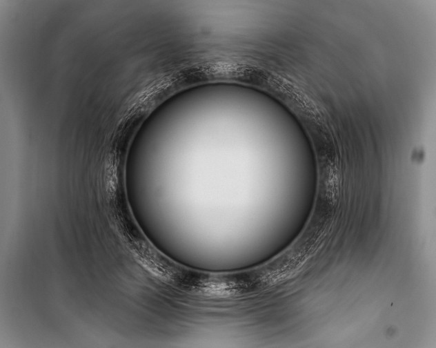 X0000101230746200806271511