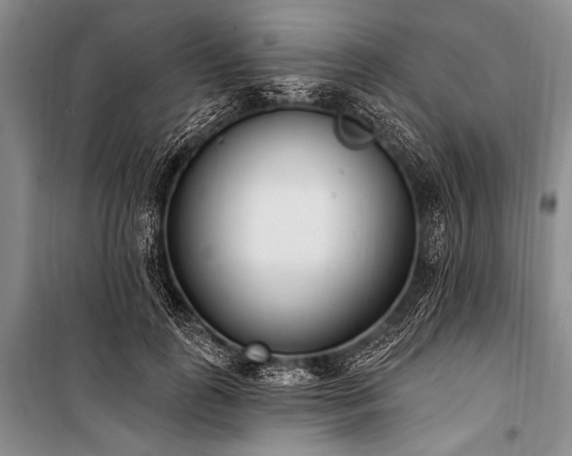X0000101230747200806271511