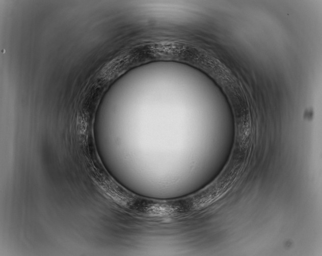 X0000101230749200806271511