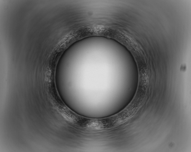 X0000101230750200806271511