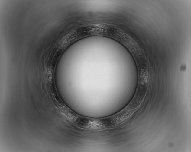 X0000101230753200806271511