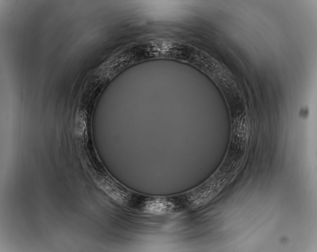 X0000101230754200806271511