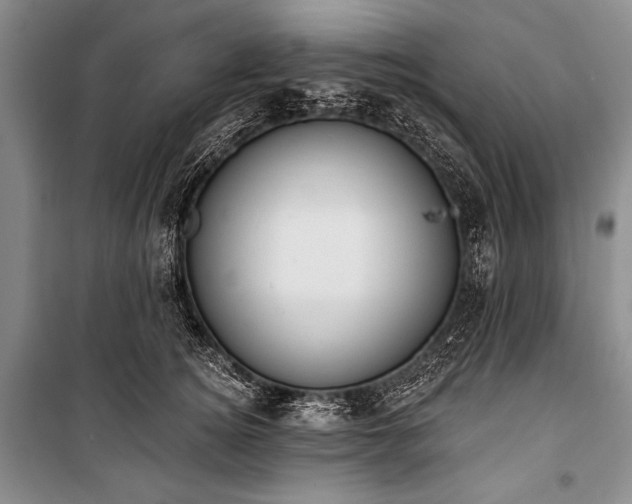 X0000101230756200806271511