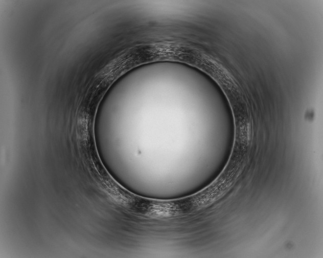X0000101230757200806271511
