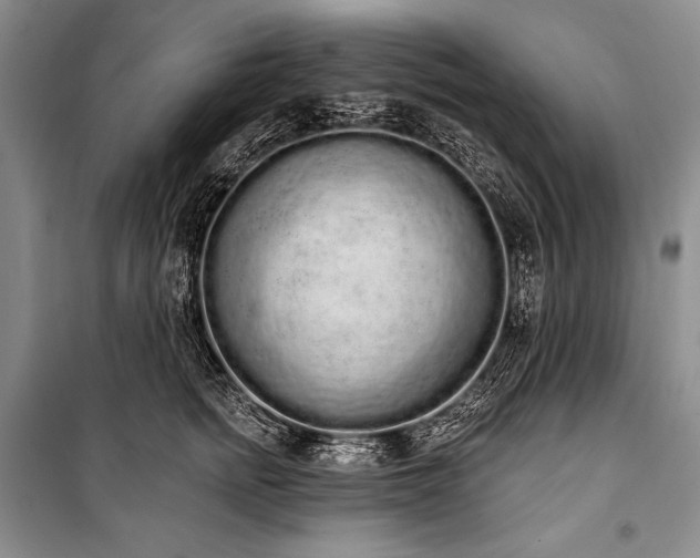 X0000101230758200806271511