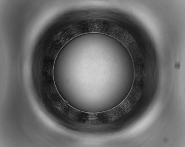 X0000101230766200806271511