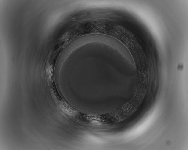 X0000101230767200806271511
