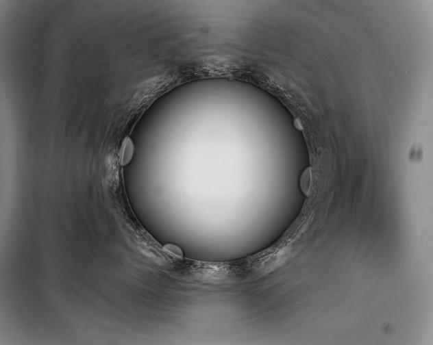 X0000101230768200806271511