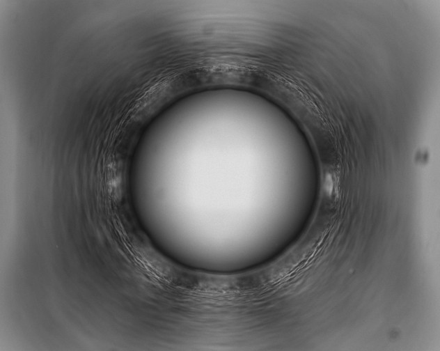 X0000101230771200806271510