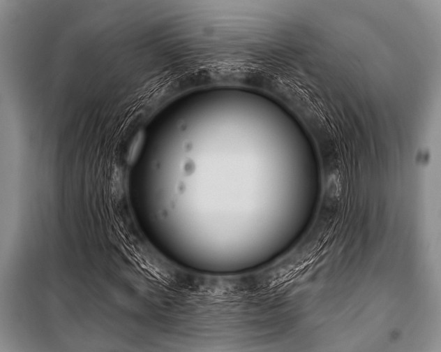 X0000101230772200806271510
