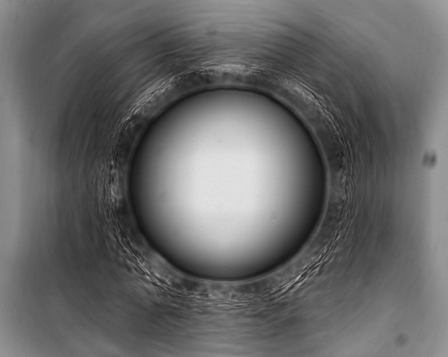 X0000101230774200806271510