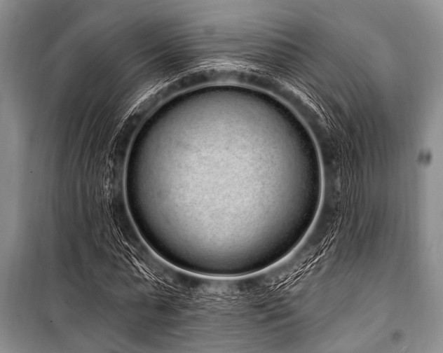 X0000101230775200806271510