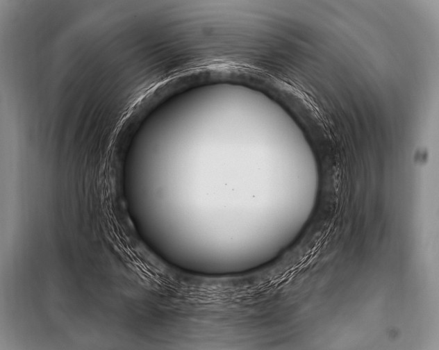 X0000101230776200806271510