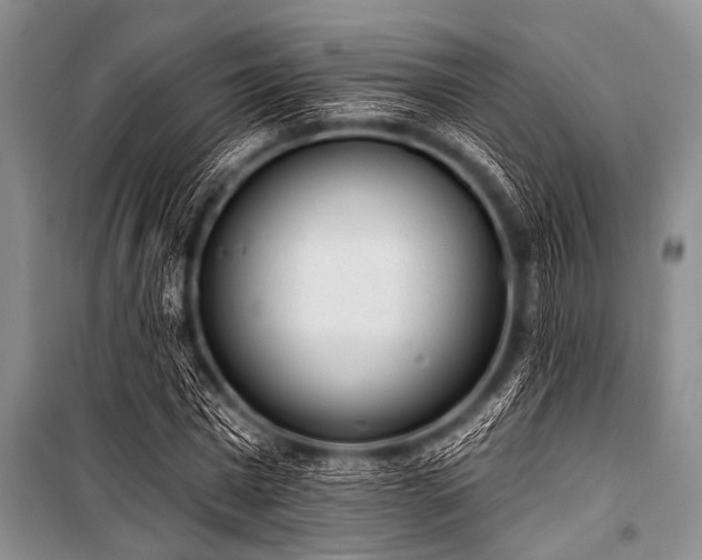 X0000101230777200806271510