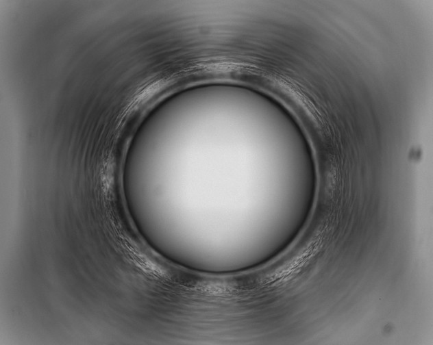 X0000101230778200806271510