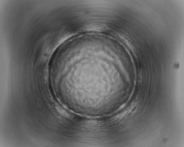X0000101230779200806271510