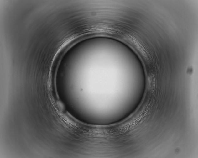 X0000101230780200806271510
