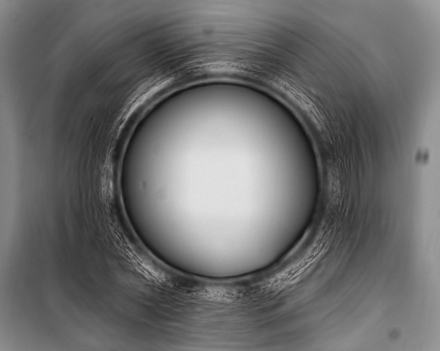 X0000101230782200806271510