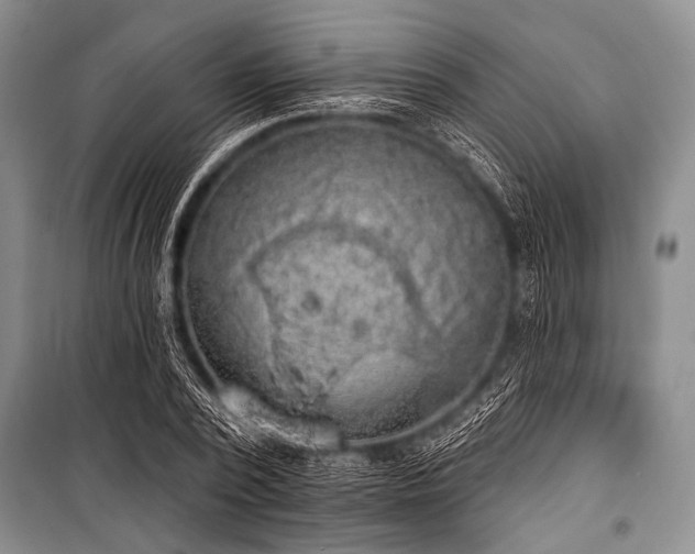 X0000101230784200806271510