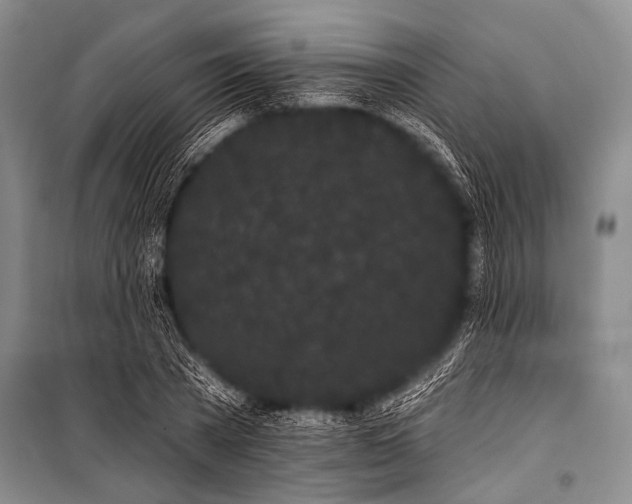 X0000101230785200806271510
