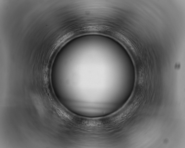 X0000101230786200806271510