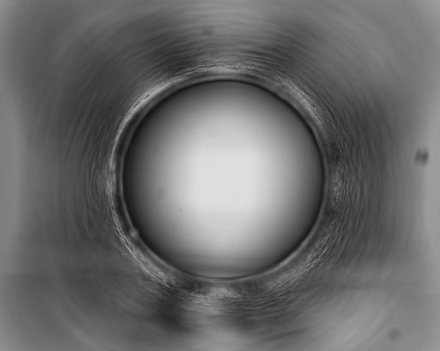 X0000101230787200806271510