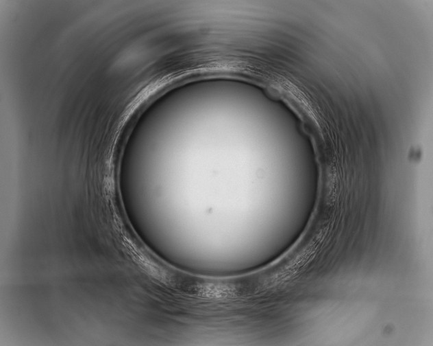 X0000101230789200806271510