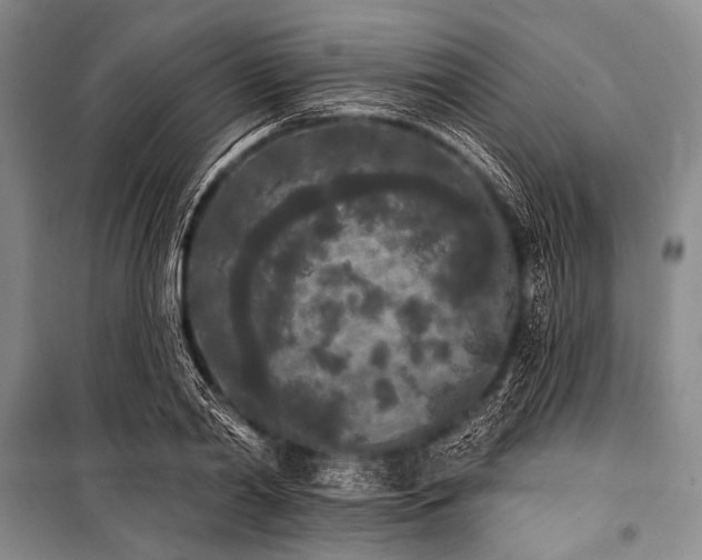 X0000101230790200806271510
