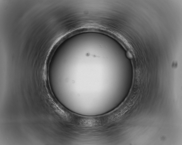 X0000101230791200806271510