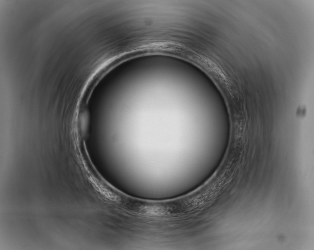 X0000101230792200806271510