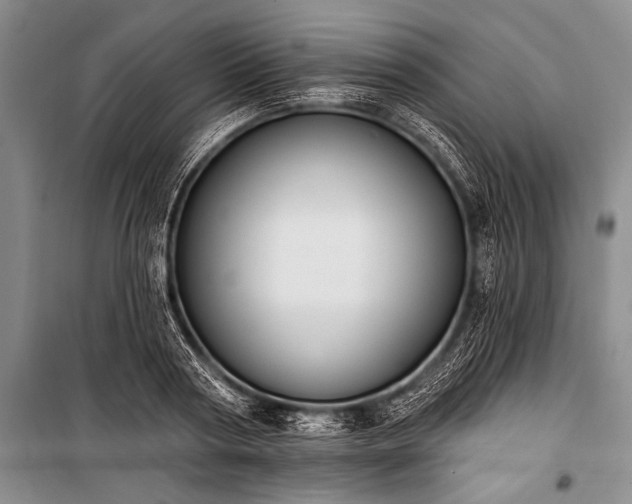 X0000101230794200806271510