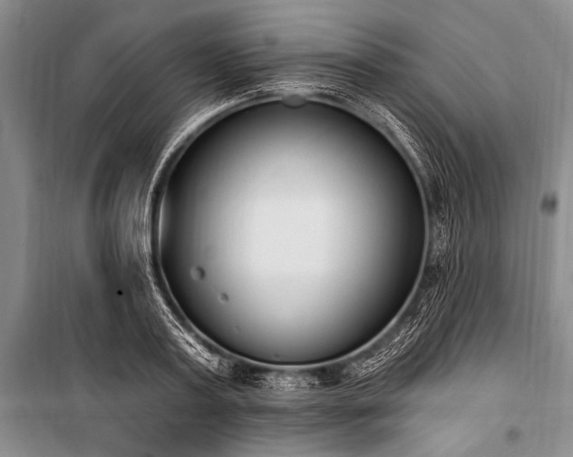 X0000101230795200806271510