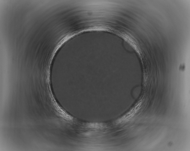 X0000101230797200806271510