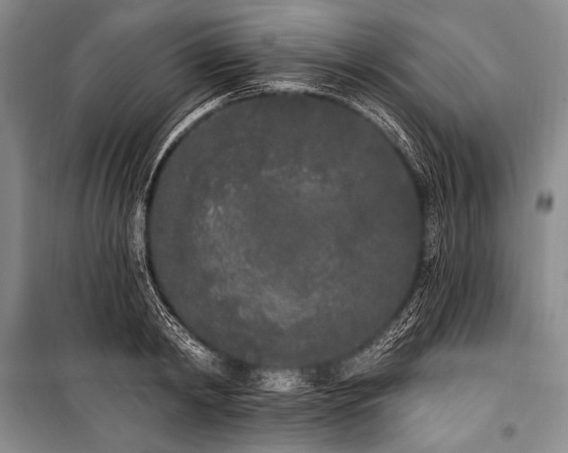 X0000101230798200806271510