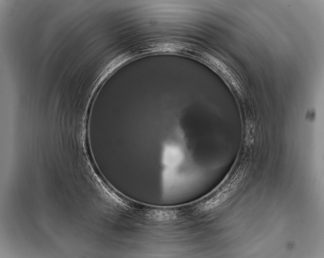 X0000101230802200806271510
