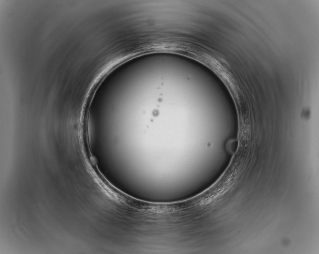 X0000101230803200806271510