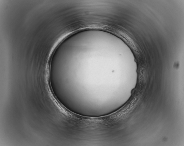 X0000101230804200806271510
