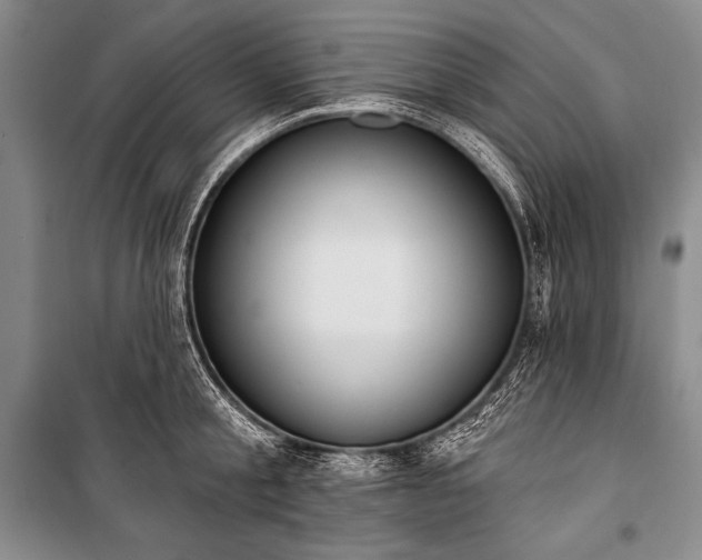 X0000101230805200806271510
