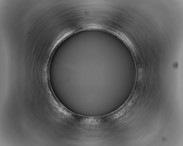 X0000101230806200806271510