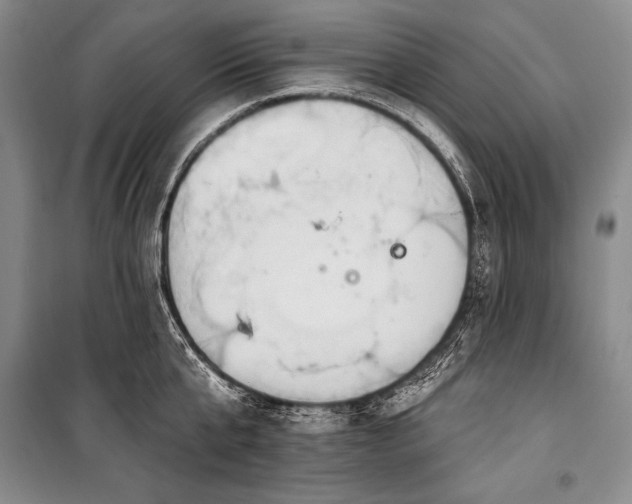 X0000101230807200806271510