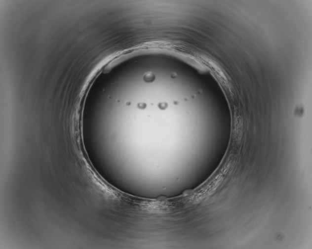 X0000101230808200806271510